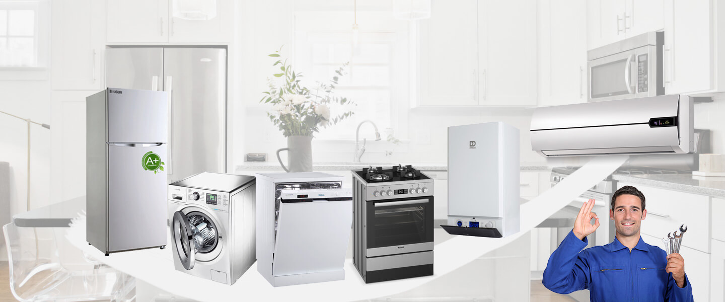 Çamlık Smeg Servisi